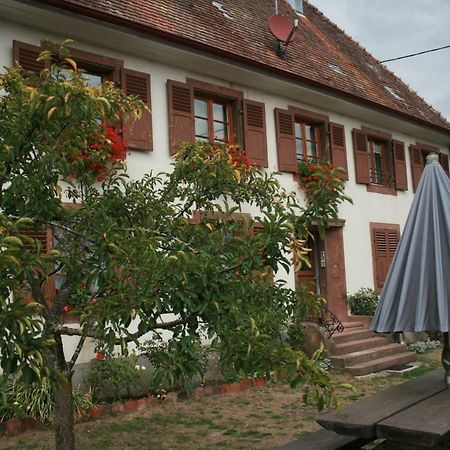 Maison D'Alsace Breitenbach-Haut-Rhin Экстерьер фото