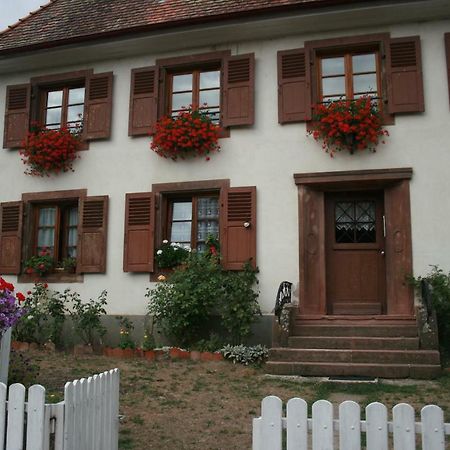 Maison D'Alsace Breitenbach-Haut-Rhin Экстерьер фото
